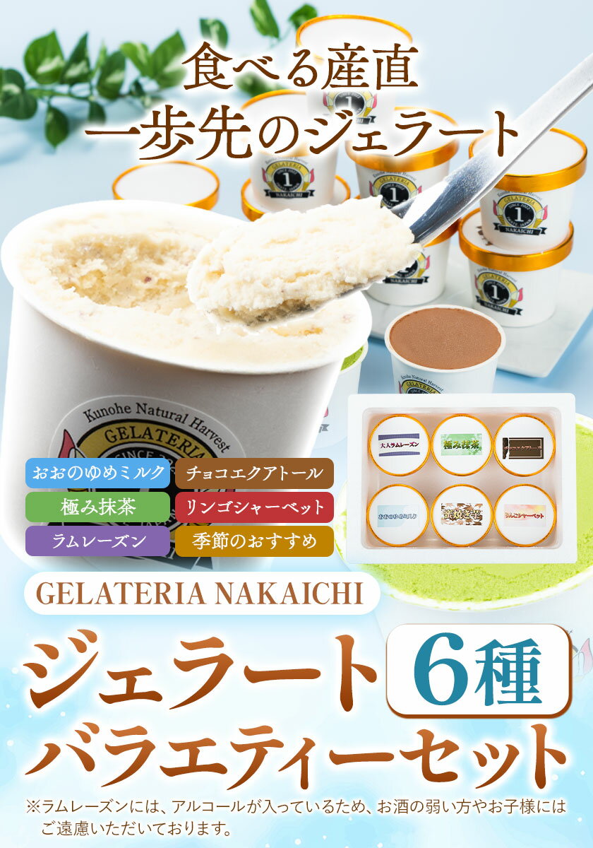【ふるさと納税】ジェラート 6種 6個 12個 バラエティーセット GELATERIA NAKAICHI《30日以内に出荷予定(土日祝除く)》岩手県 九戸村 ジェラート アイス ミルク チョコ 抹茶 リンゴ ラムレーズン
