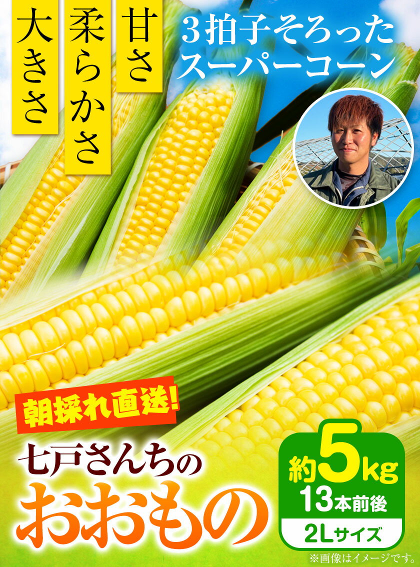 【ふるさと納税】朝採れ直送！ とうもろこし おおもの 甘い 約5kg 13本入 2Lサイズ 七戸宏大《2026年7月下旬-8月下旬頃出荷》岩手県 九戸村 トウモロコシ 5kg スイートコーン 新鮮 レンジ 送料無料
