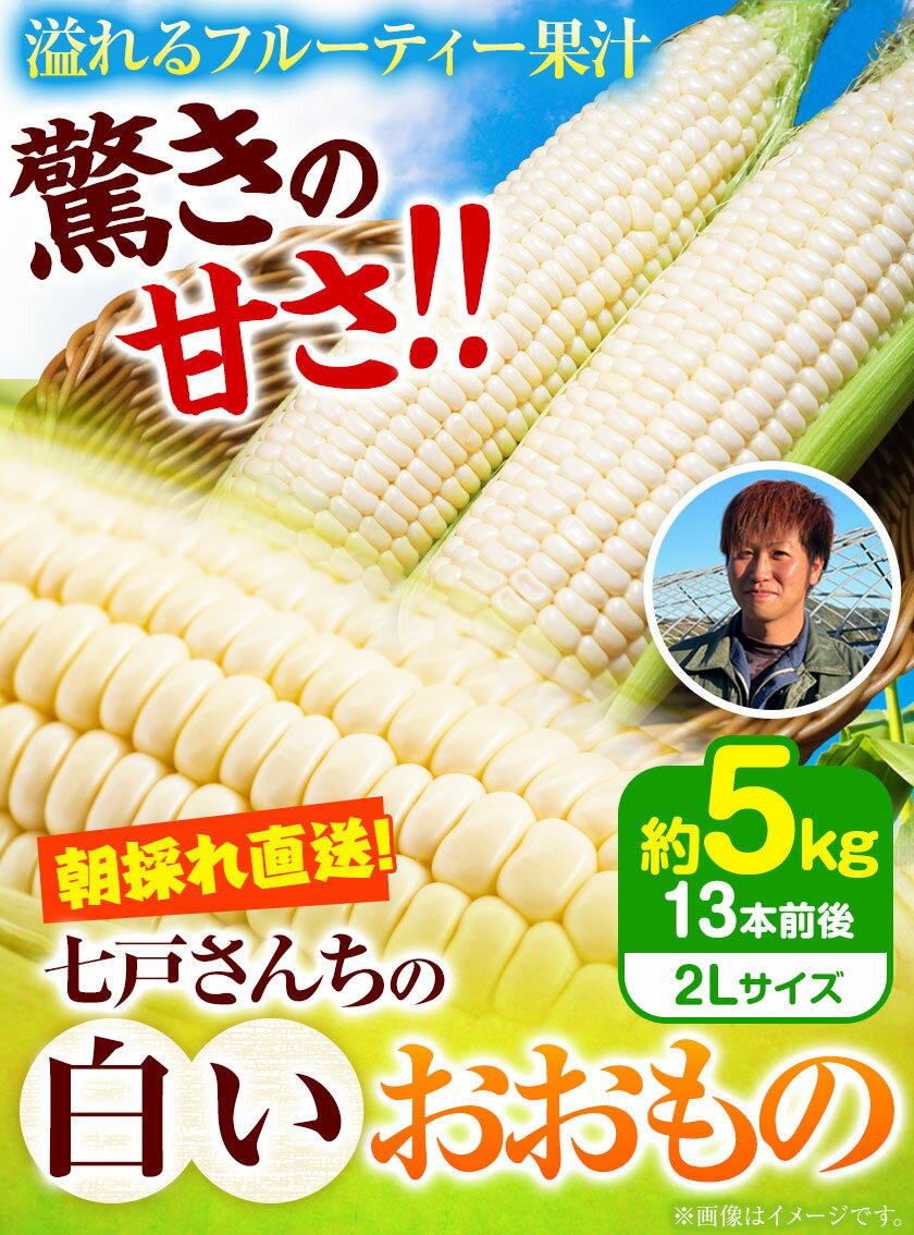 【ふるさと納税】朝採れ直送！ とうもろこし おおもの 甘い 約5kg 13本入り 2Lサイズ 七戸宏大《2026年7月下旬-8月下旬頃出荷》岩手県 九戸村 ホワイトコーン 白とうもろこし レンジ 5kg スイートコーン 冷蔵 送料無料