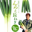 【ふるさと納税】【2025年先行受付分】炭焼き屋がつくった んめぇ 長ねぎ 15本 2Lサイズ 七戸宏大《2025年9月中旬-12月上旬頃出荷》岩手県 九戸村 ...