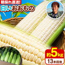 1位! 口コミ数「1件」評価「5」朝採れ直送！ とうもろこし おおもの 甘い 約5kg 13本入り 2Lサイズ 七戸宏大《8月上旬-8月中旬頃出荷》岩手県 九戸村 ホワイトコ･･･ 