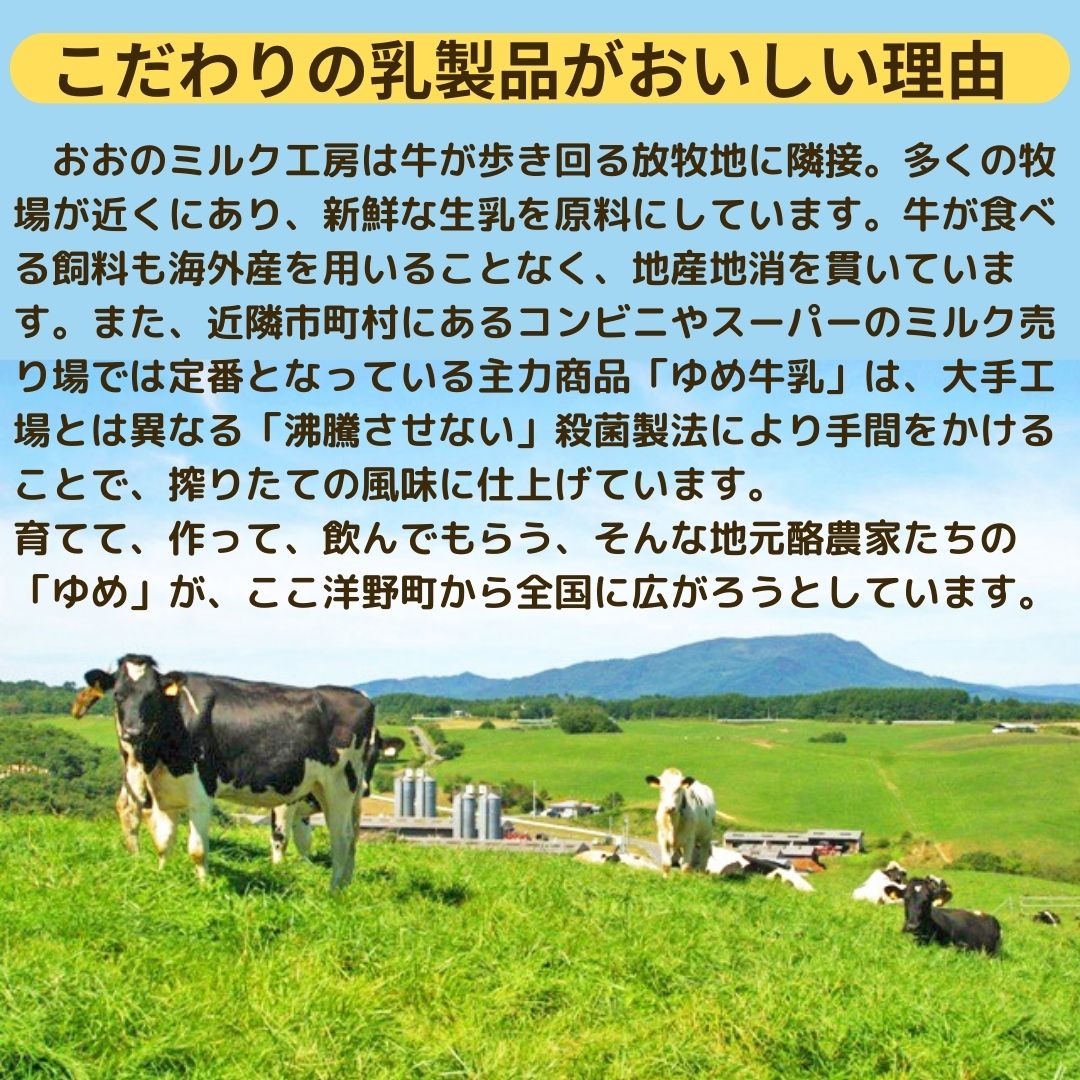 【ふるさと納税】 おおのミルク村 ゆめヨーグルト（加糖）1kg×4袋　やさしい甘さの加糖タイプ　乳酸菌配合　キャップ付きアルミパック　酪農家の味