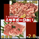 【2014食肉産業展の第12回銘柄ポーク好感度コンテストにおいて「八幡平ポークあい」が優秀賞を受賞しました！】 「八幡平ポークあい」は、きれいな空気とミネラル豊富な天然水を使える自然豊かな環境の「八幡平ファーム・洋野農場」で、こだわりの飼料を与えるなど、豚の健康にこだわって生産されています。肉質は、日本食肉格付協会による格付けで「上物中物比率90％以上」という数字に表れているとおり、バラつきが少なく、ジューシーで柔らかい赤身と、コクがありさらりとした上質な脂身が特徴です。 しゃぶしゃぶ用のお肉は、豚丼や冷しゃぶサラダなどにもおすすめです。焼肉用のお肉は、バーベキューはもちろん、焼きそばや豚汁などにもご活用いただける万能なお肉です。ぜひご賞味ください。 商品説明 名称 【3ヵ月定期便】八幡平ポークあい 焼肉・しゃぶしゃぶ用セット 内容量 焼肉用…肩肉約480g×1 ロース約270g×1 肩ロース 約270g×1 バラ約370g×1 しゃぶしゃぶ用…モモ約480g×1 バラ約370g×1 ロース約270g×1 肩ロース約270g×1　 産地 岩手県洋野町 保存方法 冷蔵 賞味期限 焼肉用…発送日から5日 しゃぶしゃぶ用…発送日から4日 アレルギー 豚肉 事業者 農事組合法人八幡平養豚組合 ＜注意事項＞ ※入金確認ができた月の翌月から3ヵ月連続でお届けします。 ※冷蔵でのお届けとなります。 ※ご不在の期間がある場合は、備考欄にご記入をお願いします。 ※発送当日に出荷通知メールをお送りします。 ※ご不在等により商品をお受け取りできなかった際の再発送は行いません。予めご了承ください。 ※北海道・関東・信越・北陸・中部の地域で午前中指定をされた場合は2日前に発送します。 ※北海道の一部の地域・関西・中国・四国・九州・沖縄は到着に2日かかります。 ※離島へのお届けはできません。 アウトドア　キャンプ　BBQ　バーベキュー　こだわり　万能　国産　安全　炭火 ・ふるさと納税よくある質問はこちら ・寄付申込みのキャンセル、返礼品の変更・返品はできません。あらかじめご了承ください。「ふるさと納税」寄付金は、下記の事業を推進する資金として活用してまいります。 寄付を希望される皆さまの想いでお選びください。 （1） 福祉関係 （2） 教育振興関係 （3） ふるさと創生関係 （4） 農林水産振興関係 （5） ゼロカーボン推進関係 （6） 洋野町に一任 特徴のご希望がなければ、町政全般に活用いたします。 入金確認後、注文内容確認画面の【注文者情報】に記載の住所にお送りいたします。 発送の時期は、寄附確認後20日以内を目途に、お礼の特産品とは別にお送りいたします。