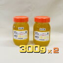 【ふるさと納税】 大野産百花はちみつ300g×2本