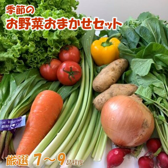 7位! 口コミ数「0件」評価「0」季節のお野菜おまかせセット