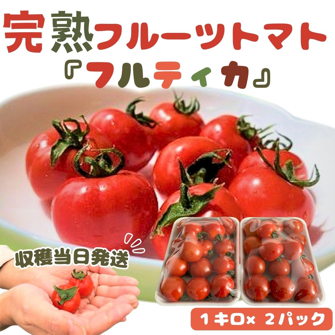 [収穫当日発送]完熟フルーツトマト(フルティカ)1kg×2パック