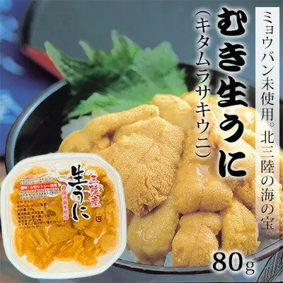 【ふるさと納税】【水揚げしたその日に出荷】生ウニ パック 計160g 【ミョウバン不使用・無添加】増殖...