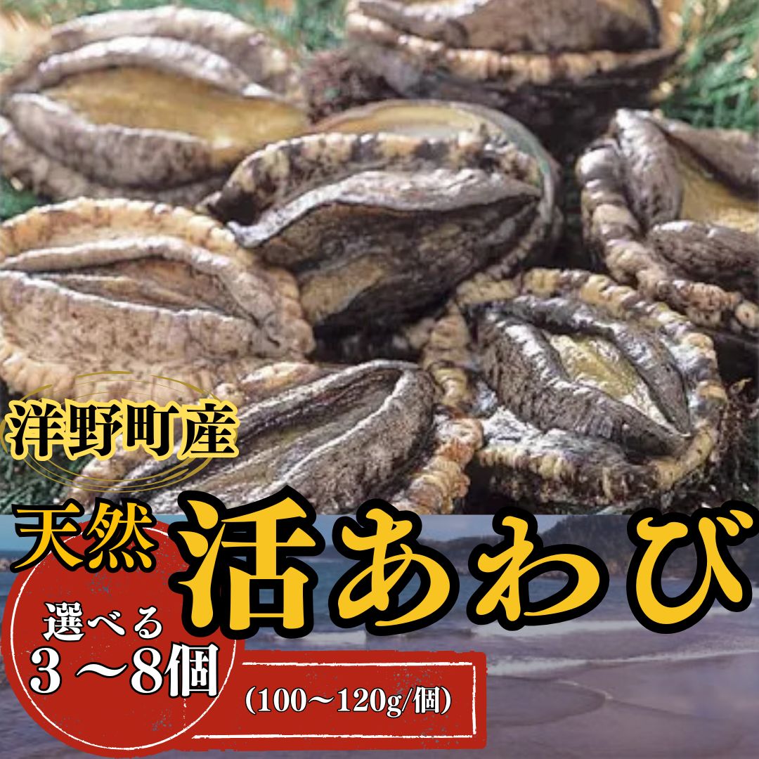 天然活あわび 選べる3〜8個入り (100〜120g/個) 冷蔵 鮑 お刺身 ステーキ 産地直送