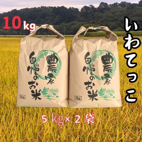 [令和5年産]大野産いわてっこ10kg(5kg×2袋)