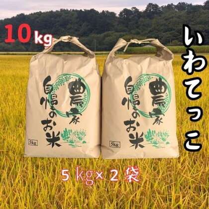 【令和5年産】大野産いわてっこ10kg（5kg×2袋）