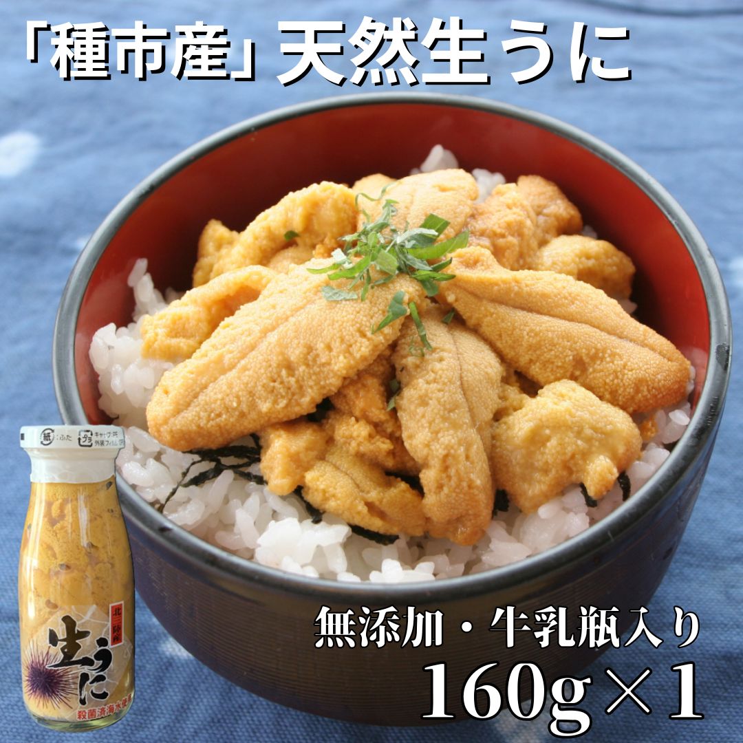 【ふるさと納税】本州一の「種市産」天然生うに瓶入り160g×1本【ミョウバン不使用・無添加】増殖溝 北三陸 塩水うに キタムラサキウニ 牛乳瓶入り 鮮度抜群 雲丹 産地直送のサムネイル