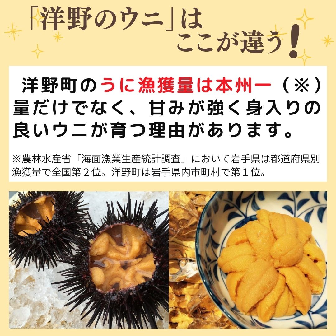 【ふるさと納税】本州一の「種市産」天然生うに80g×3パック【ミョウバン不使用・無添加】北三陸 塩水うに 雲丹 キタムラサキウニ 鮮度抜群 洋野うに牧場 四年うに