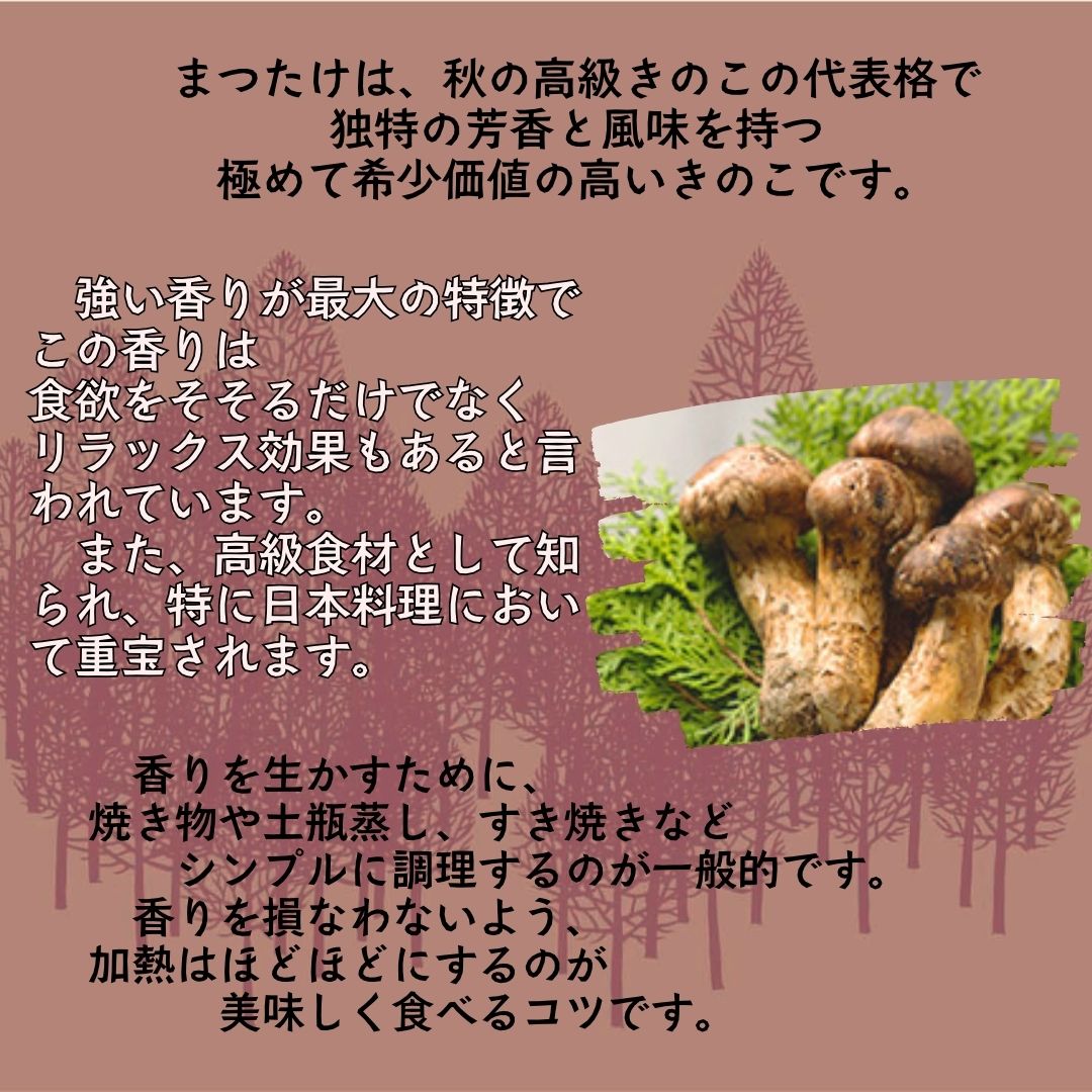 【ふるさと納税】【ZIP!で紹介】国産まつたけ炊き込みご飯の素（2合用）
