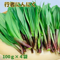 【ふるさと納税】間澤さんの愛情たっぷり「行者にんにく」100g×4袋　春の味覚 山菜 アイヌネギ 希少 山の恵 新鮮 採れたて