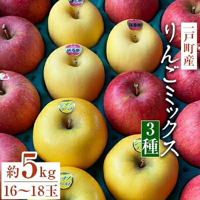 一戸町産りんごミックス約5キロ(サンふじ・はるか・シナノゴールド)16～18玉【1137801】