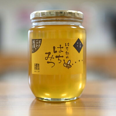 一戸町産はちみつ はち郎のはちみつ850g(けんぽなし)【1788093】