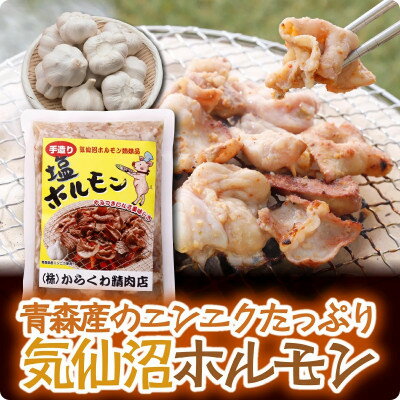 22位! 口コミ数「0件」評価「0」気仙沼ホルモンしお味300g×2P【配送不可地域：離島】【1344297】