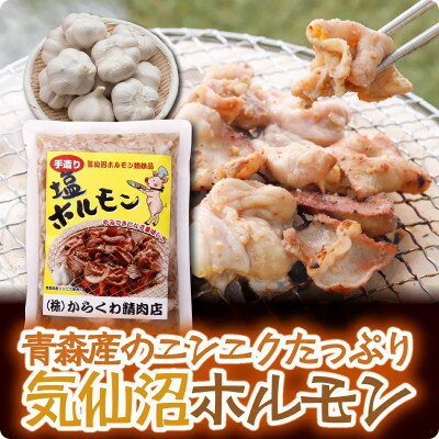 8位! 口コミ数「0件」評価「0」気仙沼ホルモンしお味500g【配送不可地域：離島】【1344314】