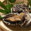 【ふるさと納税】【南三陸町直送】三陸産天然活アワビ 3〜4個(約400g) 貝むきセット入【配送不可地域:離島・北海道・沖縄県・信越、北陸・東海・近畿・中国・四...