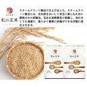 【ふるさと納税】だて正夢【私の玄米】1.8kg×2【1390237】
