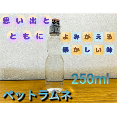 【ふるさと納税】【なつかしい味】ペットラムネ(250ml×30本)【1394602】