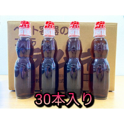 ペットラムネ　コーラ(250ml×30本)【1394699】