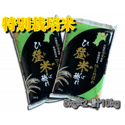 [令和5年産]宮城県登米市産 特別栽培米ひとめぼれ10kg(5kg×2)