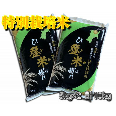 【令和5年産】宮城県登米市産　特別栽培米ひとめぼれ10kg(5kg×2)【1397558】