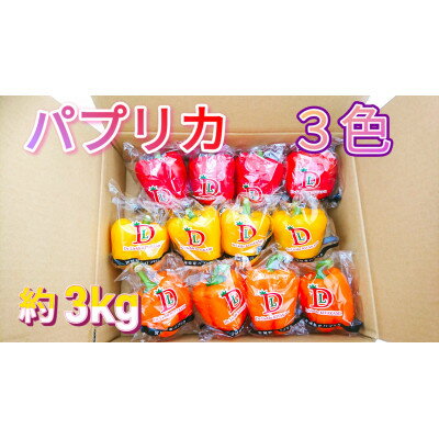 【ふるさと納税】【宮城県産】パプリカ(赤・黄・橙)12玉 約3kg【配送不可地域:離島】【1401727】