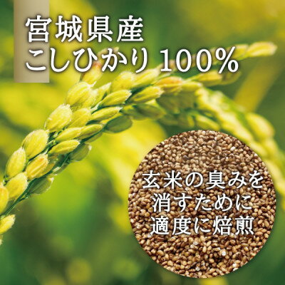 【ふるさと納税】宮城県産コシヒカリ使用　玄米パスタ グルテンフリー米粉麺 30袋【1428040】