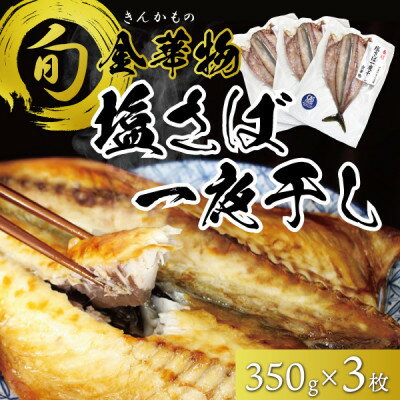 【ふるさと納税】宮城県石巻産【金華物 塩さば一夜干し】350g×3枚セット(CAS冷凍・養殖)【配送不可地域：離島】【1451998】