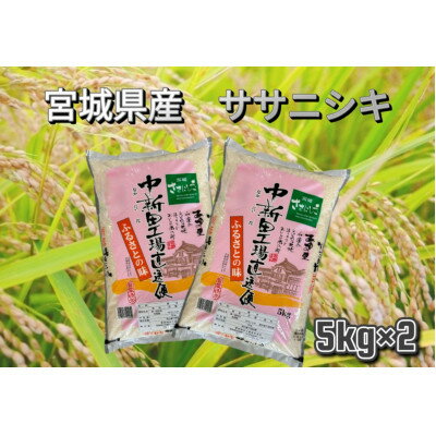 [令和5年産]宮城県産 ササニシキ 精米 10kg(5kg×2)