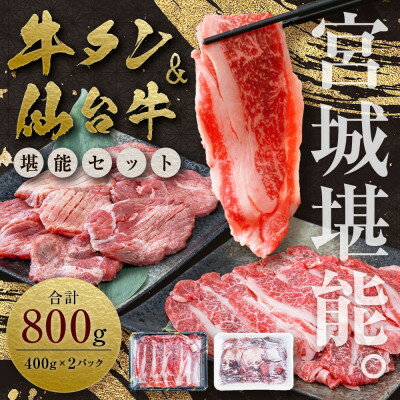 【お肉の宮城県堪能セット】国産牛タン塩味・仙台牛切り落とし　各400g【配送不可地域：離島】【1463087】