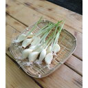 【ふるさと納税】泉ヶ岳名産元気にんにく200g×3パック【配送不可地域:離島】【1483160】