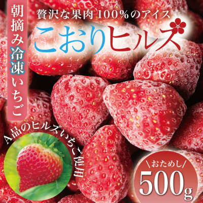 【ふるさと納税】完熟朝摘み冷凍いちご『こおりヒルズ』500g【ヘタなし・急速冷凍】宮城のいちご農家から直送【配送不可地域:離島】【1497567】 【ふるさと納税】完熟朝摘み冷凍いちご『こおりヒルズ』500g【ヘタなし・急速冷凍】宮城のいちご農家から直送【配送不可地域:離島】【1497567】