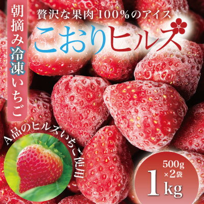 【ふるさと納税】完熟朝摘み冷凍いちご『こおりヒルズ』1kg【ヘタなし・急速冷凍】宮城のいちご農家か..