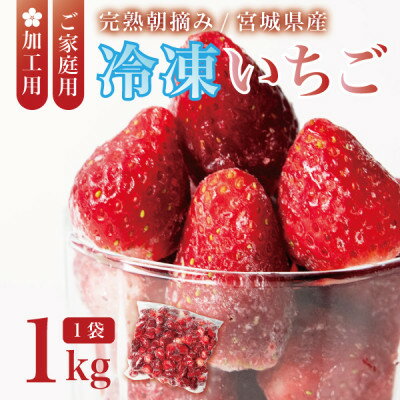 【ふるさと納税】宮城県産 完熟冷凍いちご 1kg(1kg×1袋)【加工用・ご家庭用】ヘタ無しで便利♪通年出荷【配送不可地域:離島】【1497569】