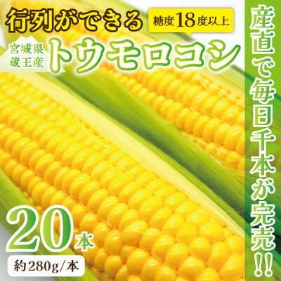 【ふるさと納税】【蔵王の産直で毎日1000本完売】生でも甘い♪行列ができるトウモロコシ『夢みらい』20本【配送不可地域:離島】【1500620】