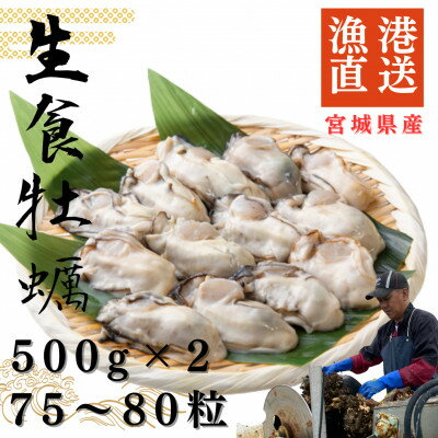 【ふるさと納税】宮城県牡鹿半島産 鮮生牡蠣 500g×2【配送不可地域:離島・沖縄県・九州】【1550892】