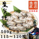 【ふるさと納税】宮城県牡鹿半島産 鮮生牡蠣 500g×3【配送不可地域:離島・沖縄県・九州】【1550906】