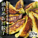 【ふるさと納税】【新仙台名物】雪菜を練り込んだヘルシーな『仙台あおば餃子』20個セット(20個×1袋・バラ入り)【配送不可地域:離島】【1557608】