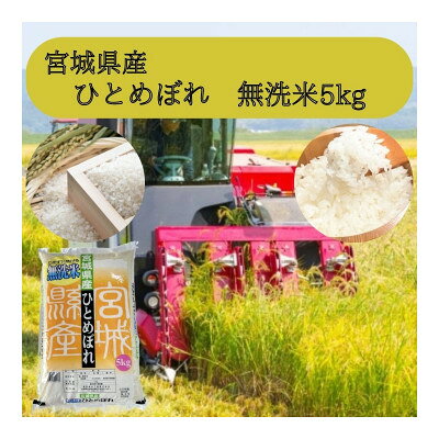 【ふるさと納税】【令和7年産】宮城県産 無洗米ひとめぼれ 5kg【1588901】