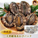 【ふるさと納税】三陸産 天然蝦夷あわび(冷凍)約1kg 6〜8個(捌き方・レシピ付き)【配送不可地域:離島】【1589193】