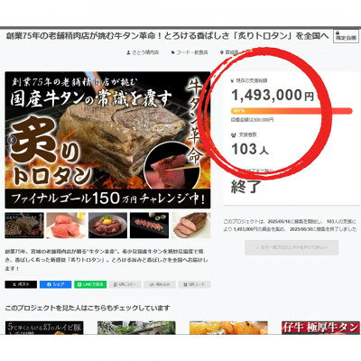 【ふるさと納税】【牛タン革命!】炙りトロタン　希少・国産牛タン使用300g前後　ブロック　約2人前【配送不可地域：離島】【1607867】 f040002-miyagi-10000999 宮城県 サンプル画像3