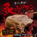 【ふるさと納税】【牛タン革命!】炙りトロタン 希少・国産牛タン使用500g前後 ブロック 約3人前【配送不可地域:離島】【1607870】