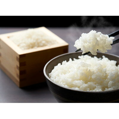【ふるさと納税】【令和8年産新米先行予約】めぐりん米(白米) 10kg【1609259】 f040002-miyagi-10000941 宮城県 サンプル画像2