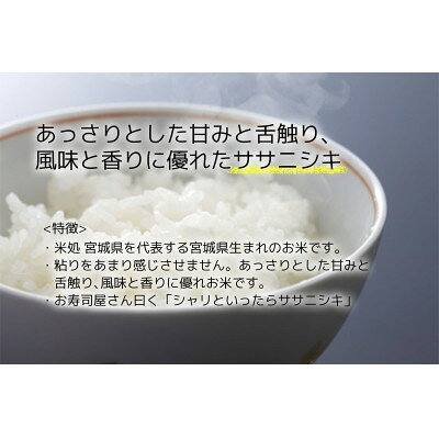 【ふるさと納税】【ささにしき】宮城県産 令和7年産 精米 5kg(5kg×1袋)【1700760】 f040002-miyagi-10001362 宮城県 サンプル画像2