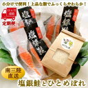 【ふるさと納税】【毎月定期便】《11か月連続》宮城県南三陸サーモン・塩銀鮭パック 3切×3袋 計33袋全11回【配送不可地域:離島】【4050085】