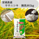 【ふるさと納税】令和6年産 宮城県産【ササニシキ】無洗米5kg【1409673】