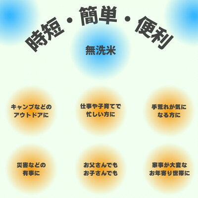 【ふるさと納税】令和7年産　宮城県産【ササニシキ】無洗米5kg【1409673】 f040002-miyagi-10000389 宮城県 サンプル画像3